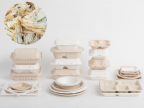 Bagasse pulp-The Best Alternative for Plastic Container